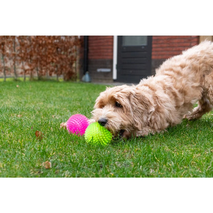 Dog Comets Exoplanet Spiky Ball Orange
