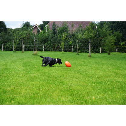 Dog Comets Pan-Stars Green