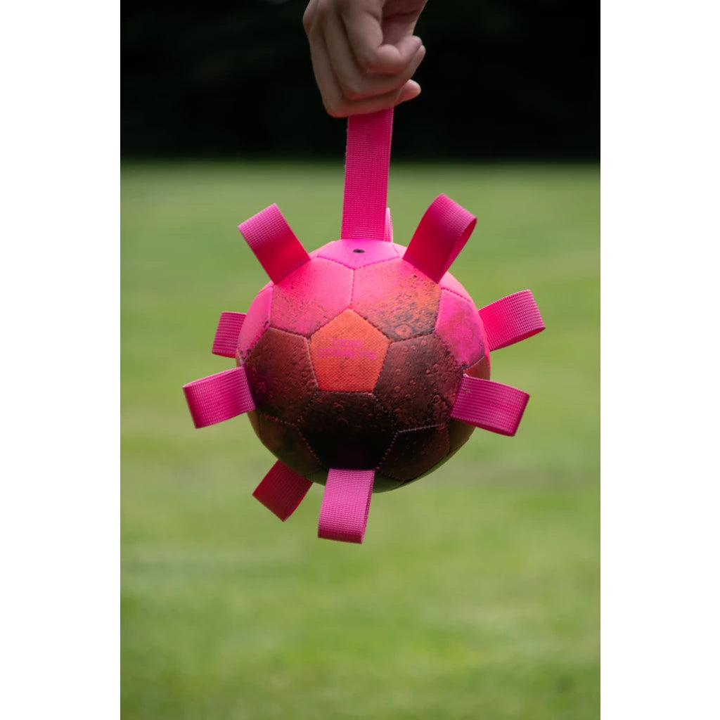 Dog Comets Hypernova PINK