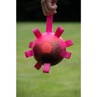 Dog Comets Hypernova PINK