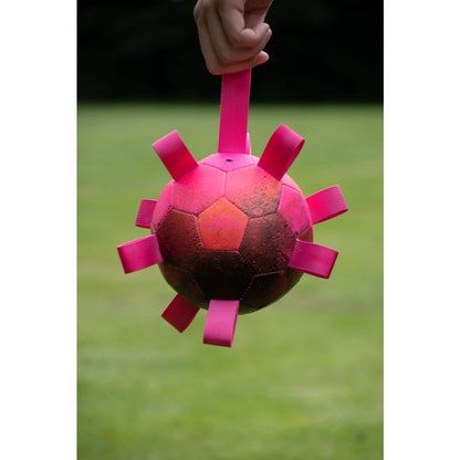 Dog Comets Hypernova PINK