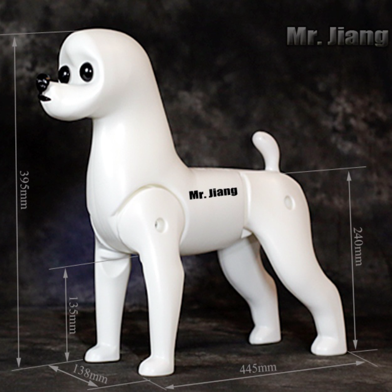 Herra Jiang Koko vartalo BICHON FRISÉ