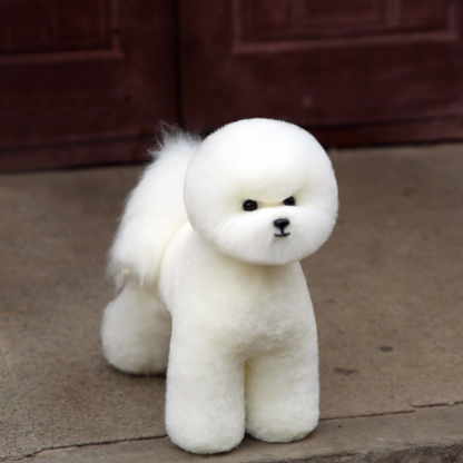 Mr. Jiang Bichon Päls kropp