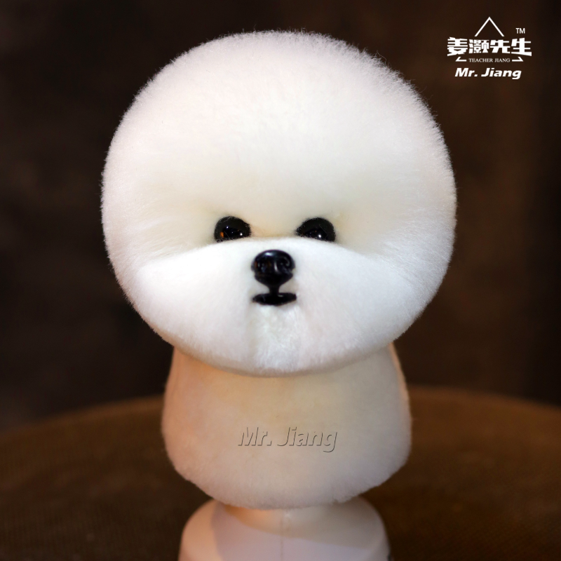 Mr. Jiang Bichon Päls huvud