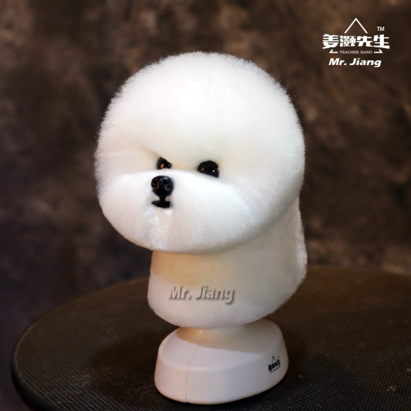 Mr. Jiang Bichon Päls huvud