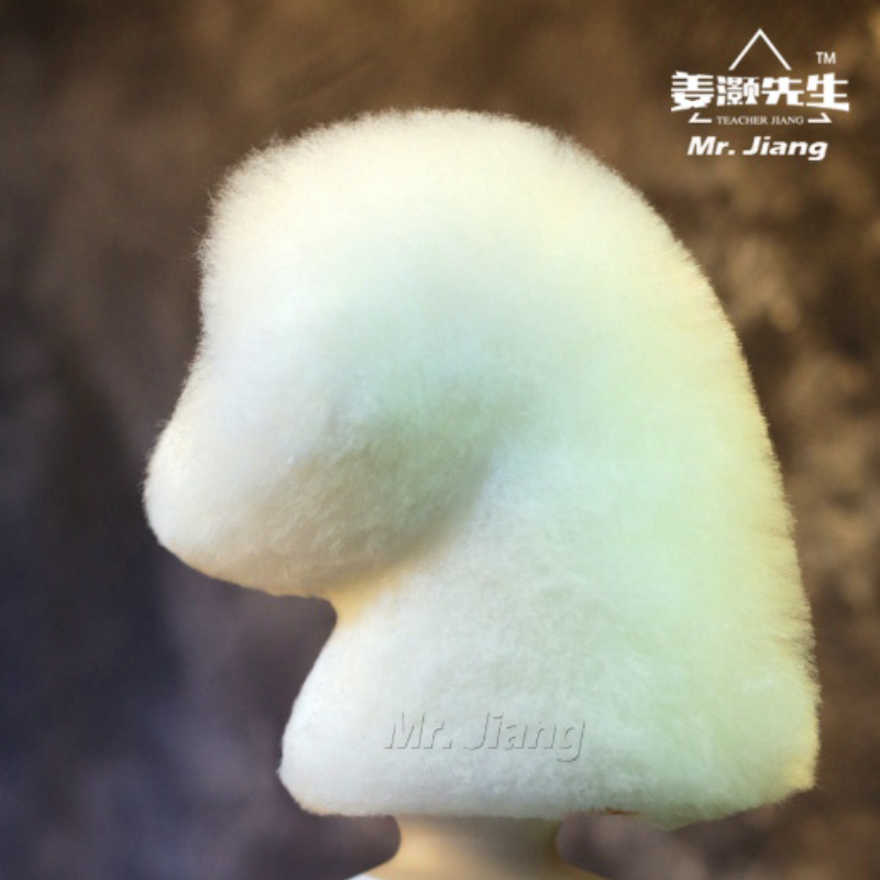 Mr. Jiang Bichon Päls huvud