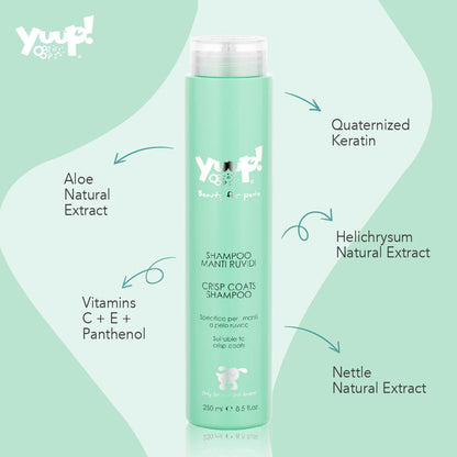 Yuup! Home Crisp Coats Shampoo