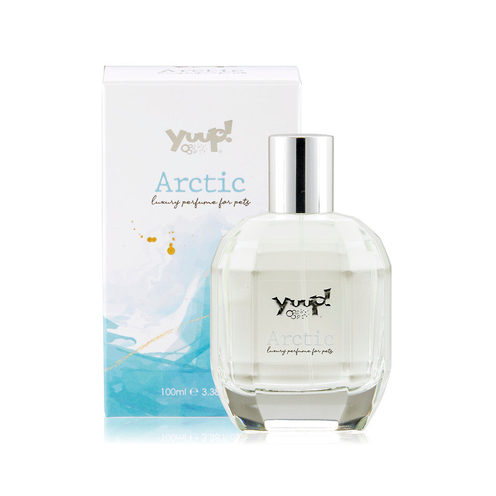 ARCTIC Parfume 100ml YUUP!