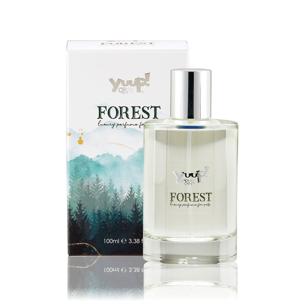 FOREST Parfume 100ml YUUP!