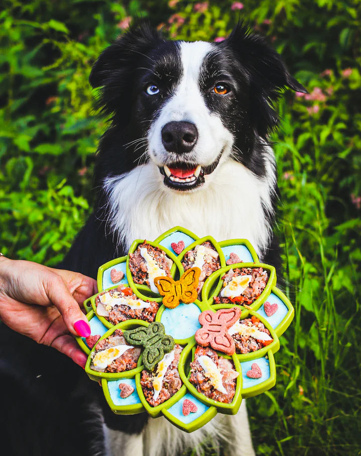 SodaPup hidassyöttöastia MANDALA keltainen