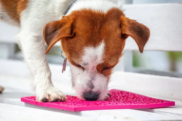 SodaPup Lick Mat Large Flower Power Pink