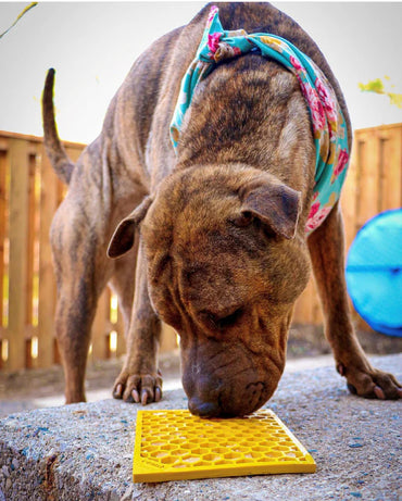 SodaPup Lick Mat Large Honeycomb Yellow