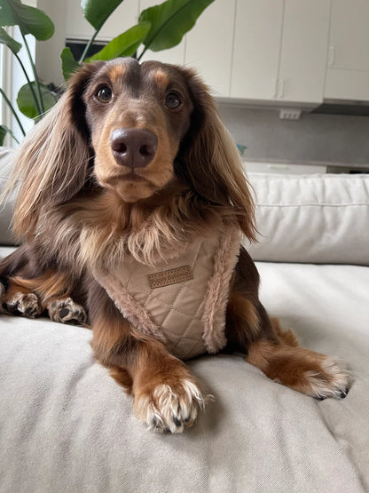 Puppy Bohéme quilted Teddy step-in sele toffe