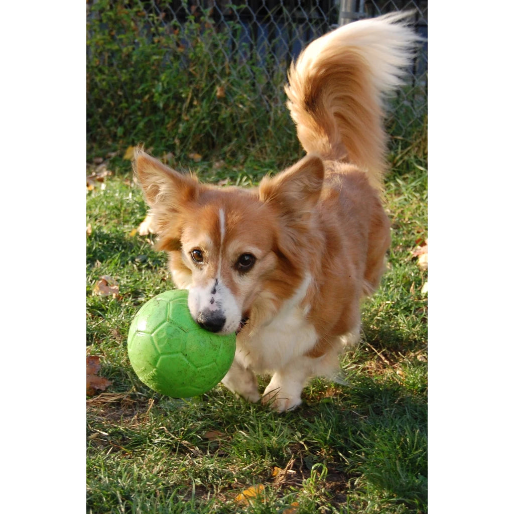 Jolly Soccer Ball Green (15 cm)