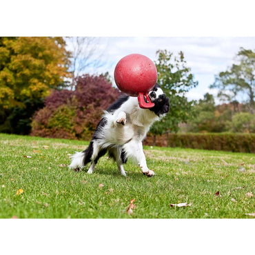 Jolly Tug-n-Toss Red M (15 cm)