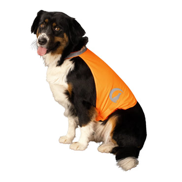 Nightwalk reflekterende vest hund Orange S