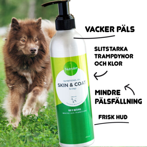 Nutrolin SKIN & COAT