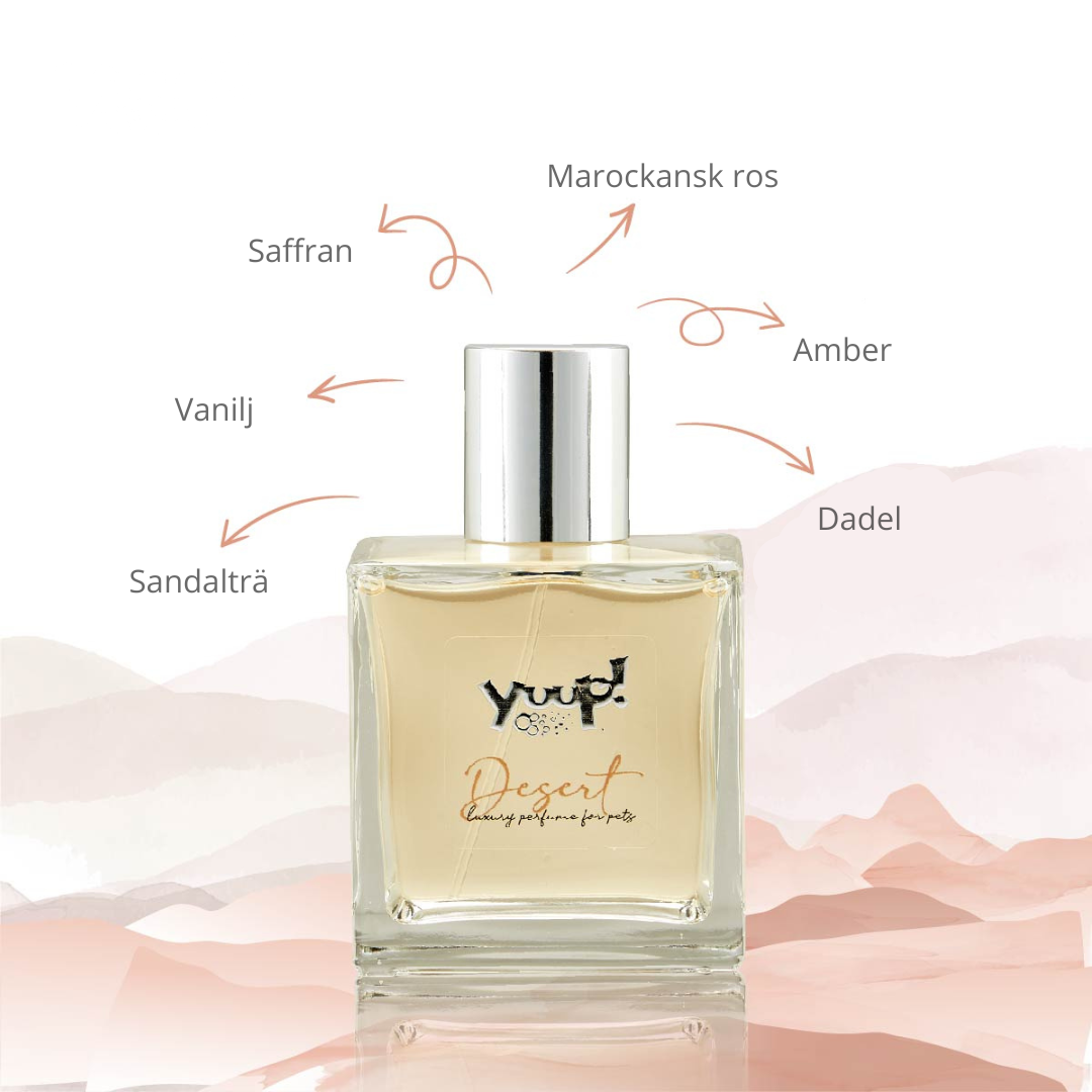 DESERT Parfume 100ml YUUP!