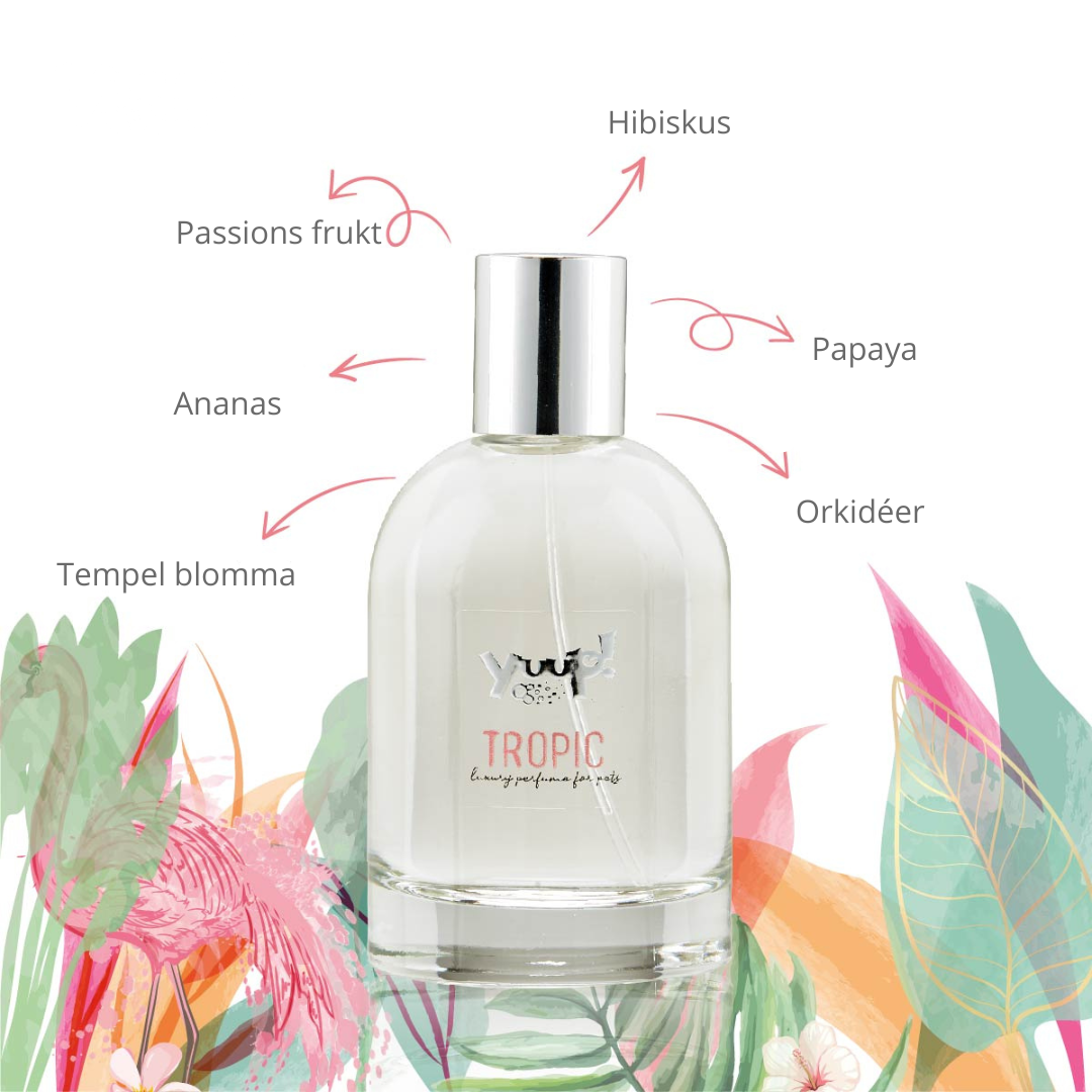 TROPIC Parfume 100ml YUUP!