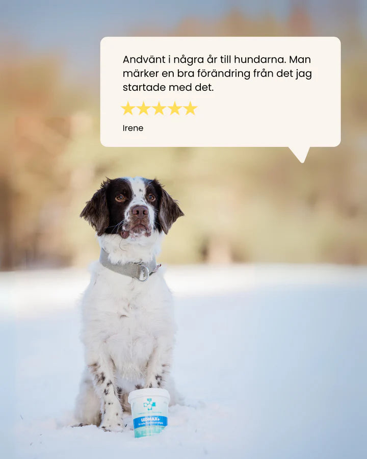 Svenska DjurApoteket LedMax+ 200 Tabletter