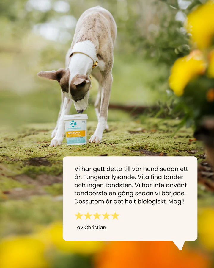 Svenska DjurApoteket Anti Plack 335g