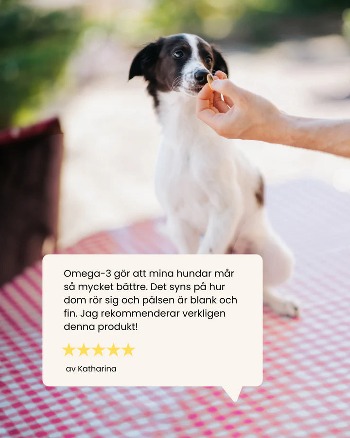 Svenska DjurApoteket Omega-3 180 Kapslar