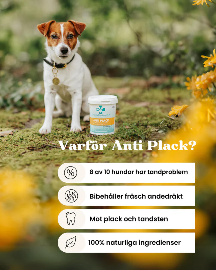 Svenska DjurApoteket Anti Plack 335g