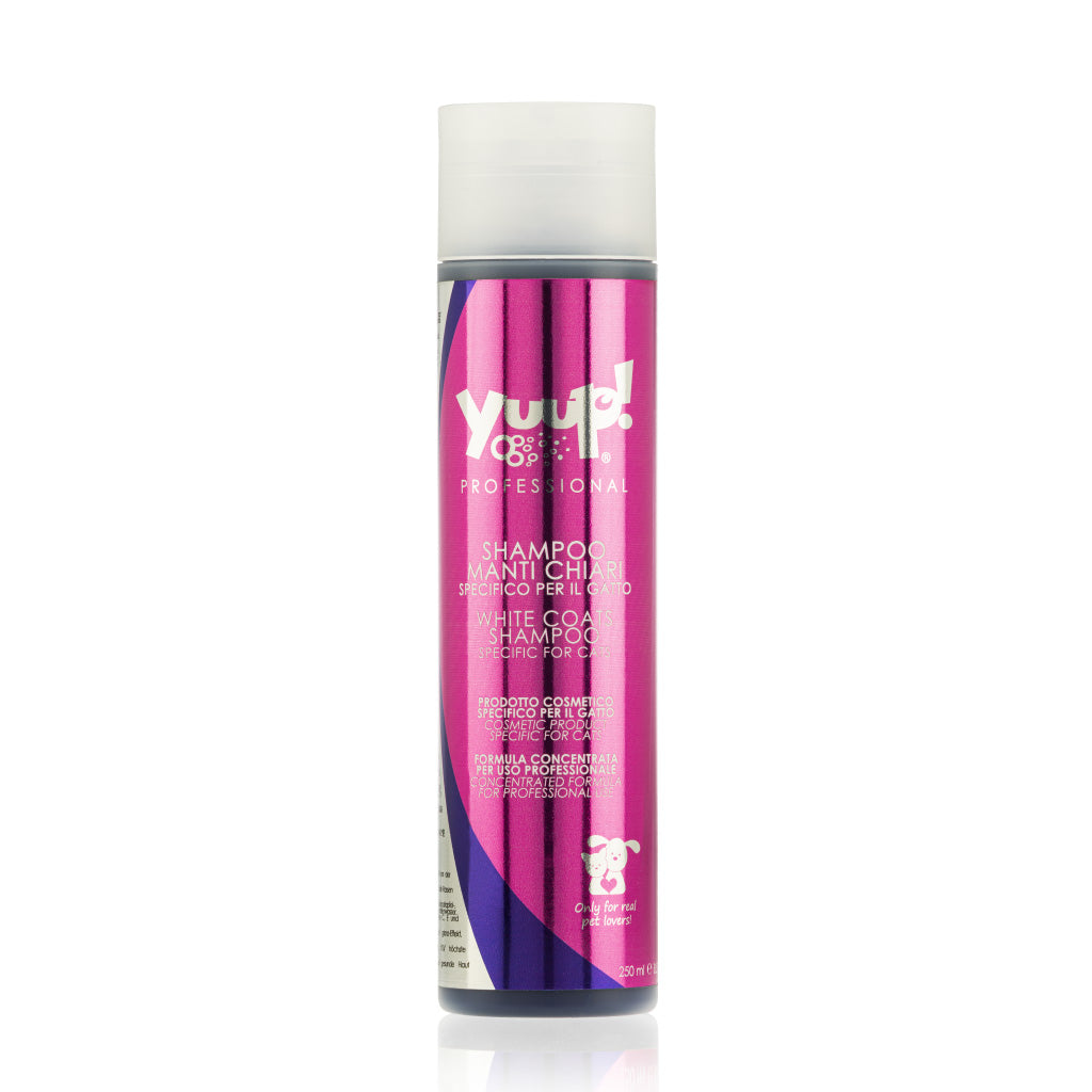 White Coats Shampoo til katte