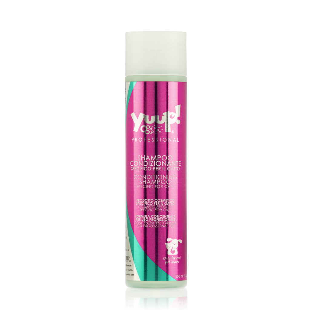 Conditioning Shampoo til Katte