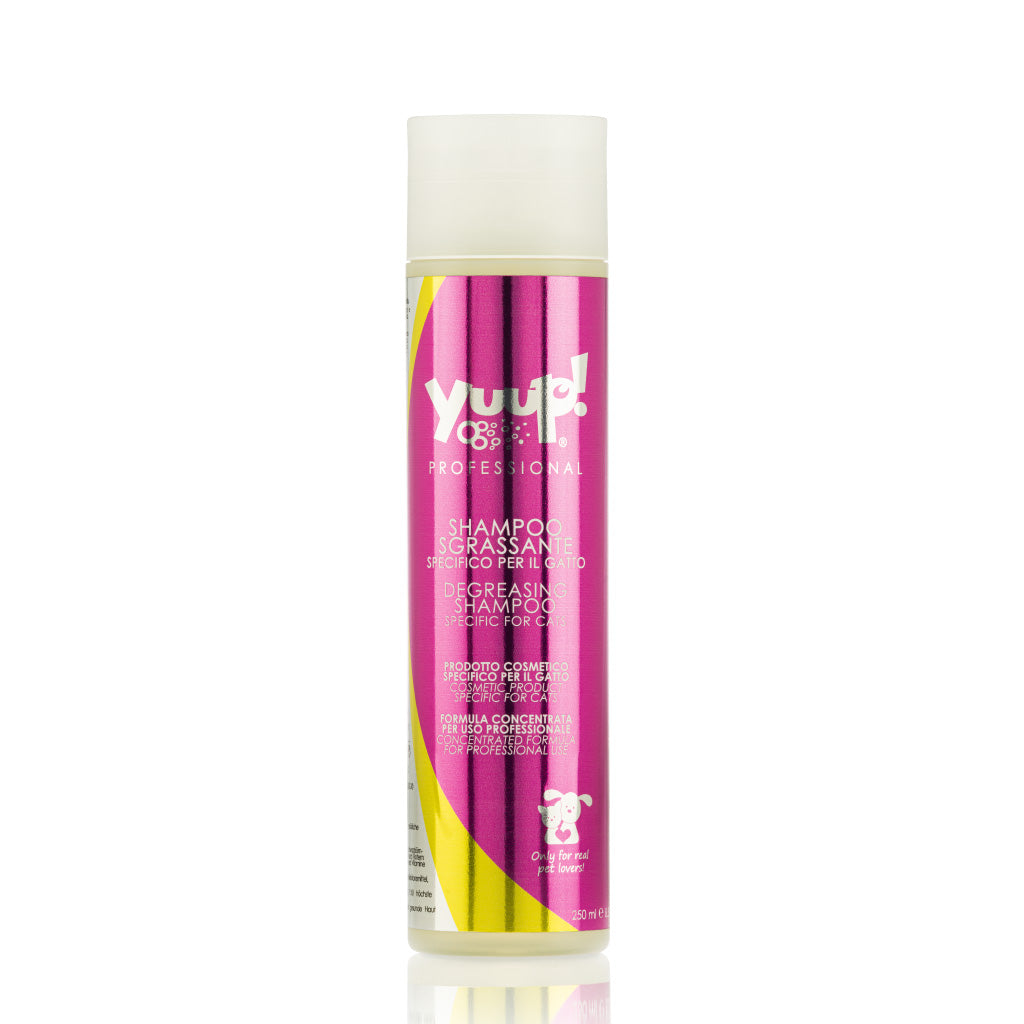 Affedtende shampoo til katte