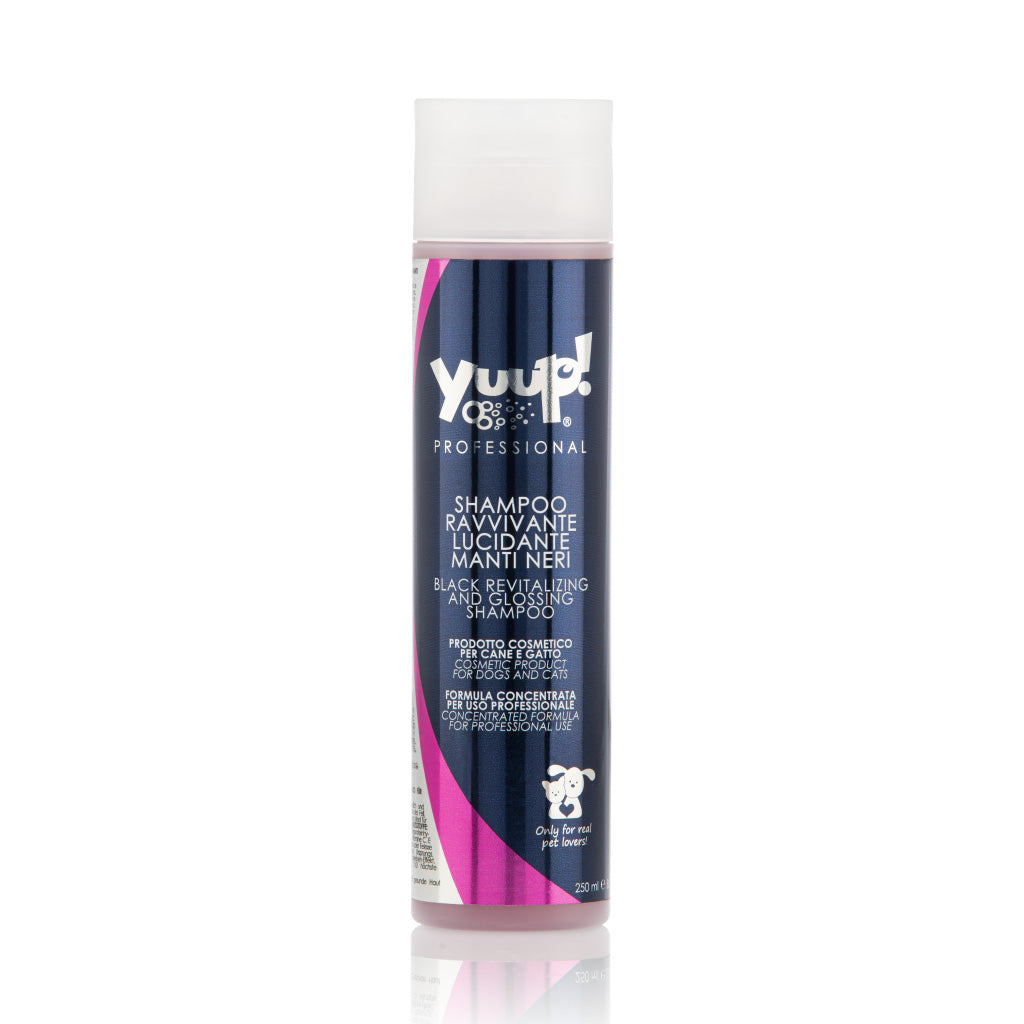 Yuup! Professionel Black Revitalizing and Glossing Shampoo