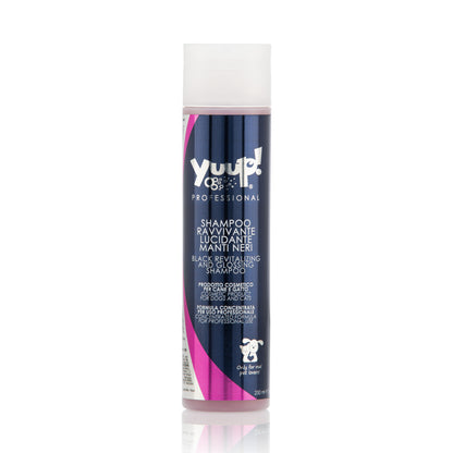 Yuup! Professional Black Revitalizing and Glossing Shampoo
