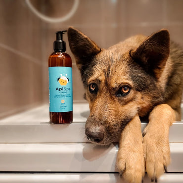 ApiSpa hundeshampoo hverdag 250ml