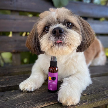 ApiRelax beroligende spray
