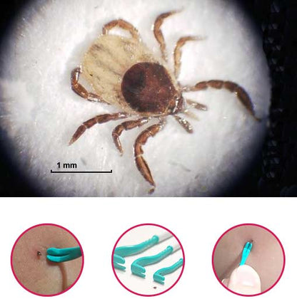 O'TOM Tick Twister 3-pack fästingplockare Blandade färger