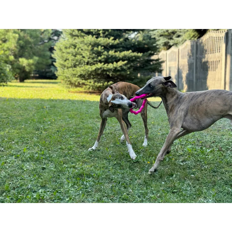 Fringoo, Rengas 18cm