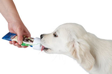 TRIXIE PREMIO lammpaté i tub hund, 110 g