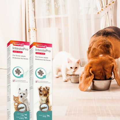 Beaphar IntestoPro Pasta hund & katt 1-15kg
