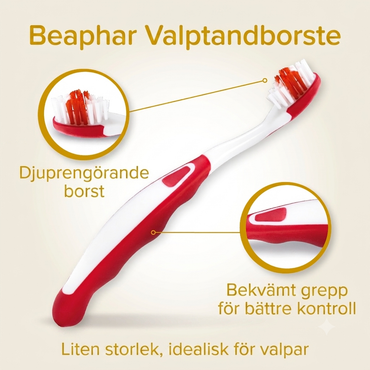 Beaphar Valpkit tandkräm och tandborste