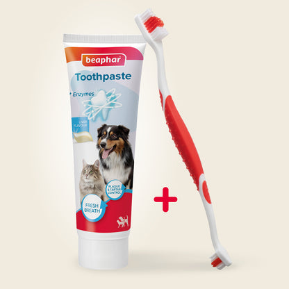 Beaphar kombipack tandkräm och tandborste