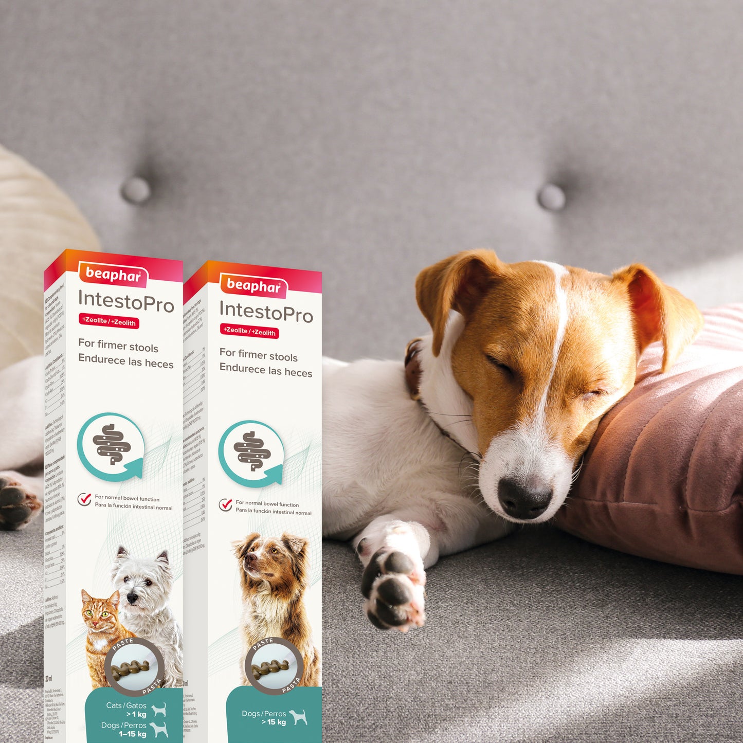 Beaphar IntestoPro Pasta hund & katt +15kg