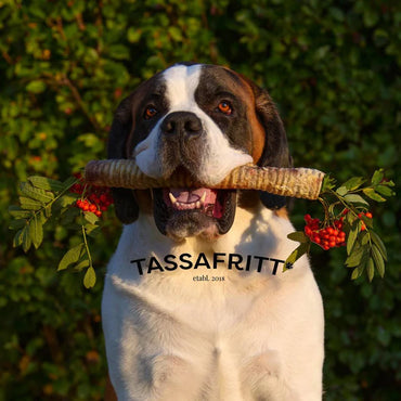 TassaFritt Oxstrupe Hel 40 cm 7-pack