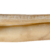 XL