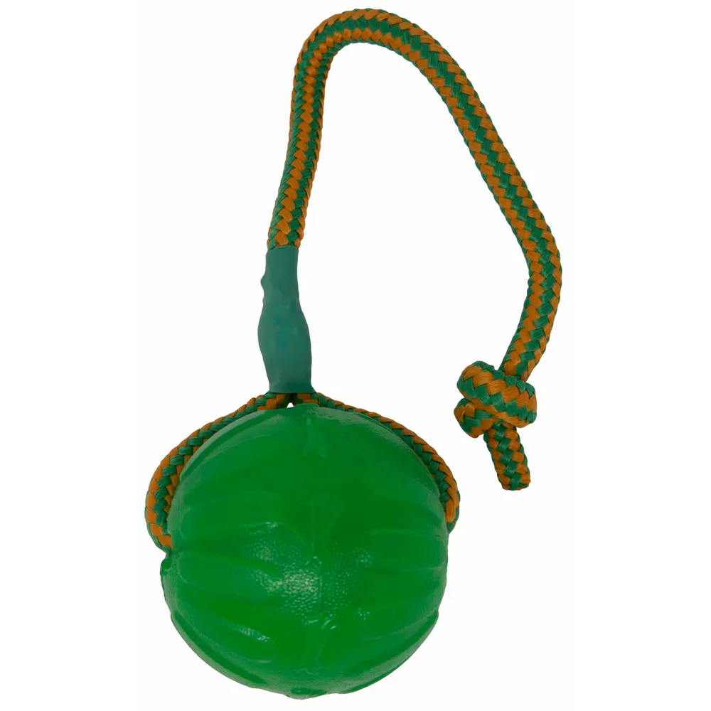 Starmark Funball Med Rep Grön