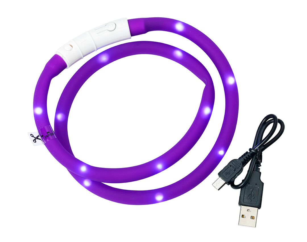 Dogman Blinkhalsband LED Lila