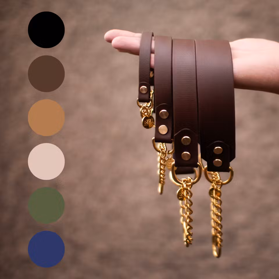 BioThane® halvstryp hundhalsband 38mm 40-50cm