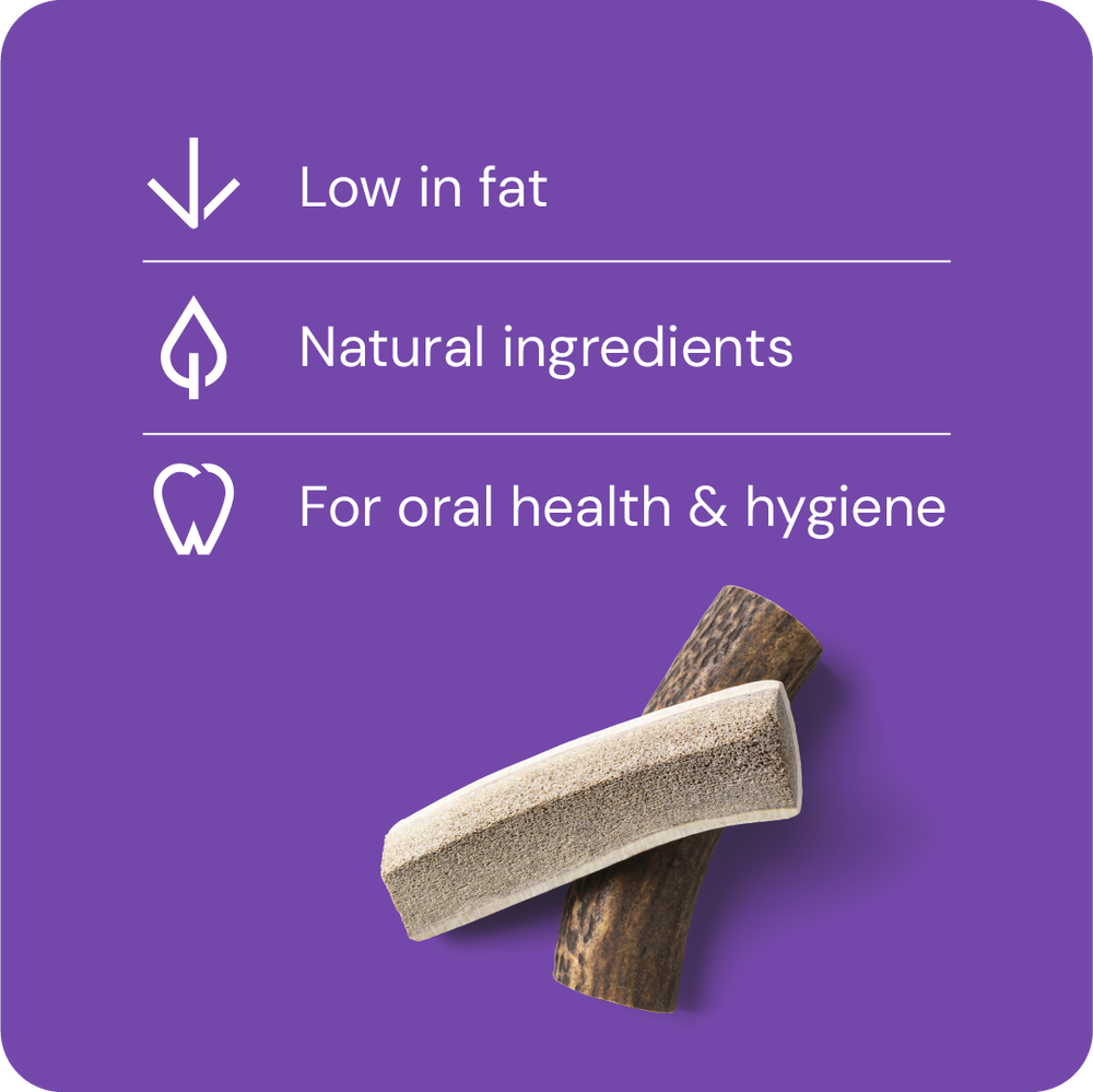 1077_a6a403e32599f484e783c7aa86eef728