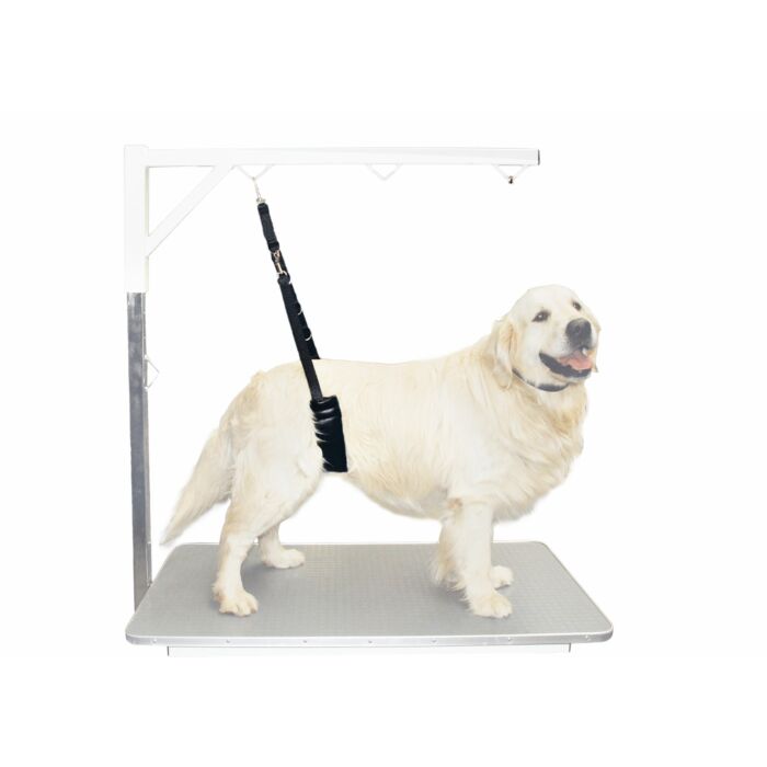 16ste030_1_tdtocfrivwormo1d