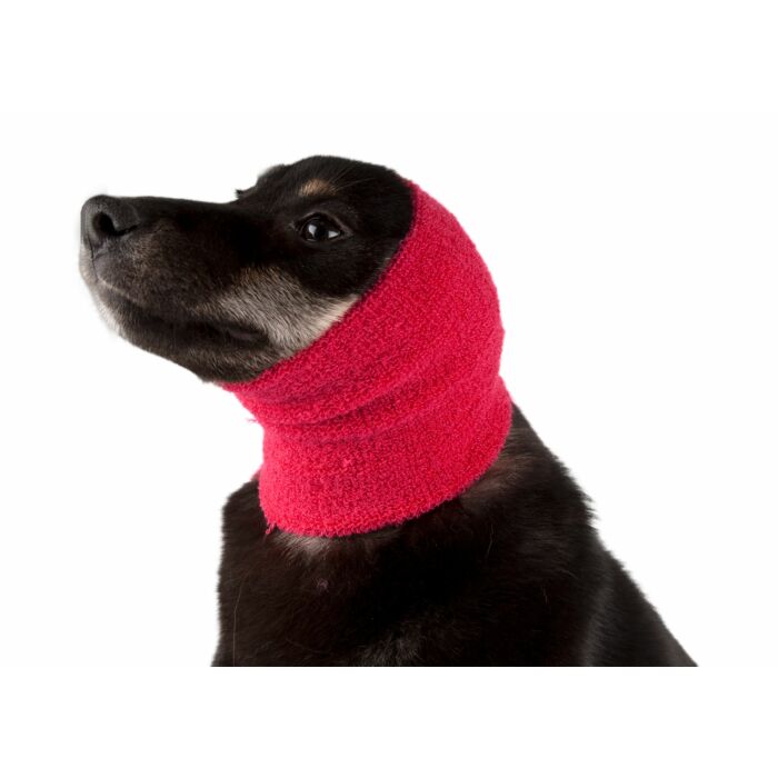 Show Tech Ear Buddy Öronskydd Small