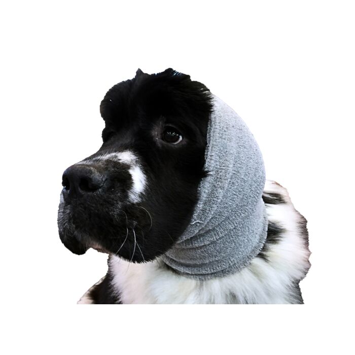 Show Tech Ear Buddy Öronskydd X-Large